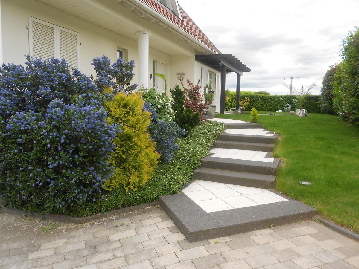 Au Coeur Du Vignoble Bed & Breakfast Orschwiller Ngoại thất bức ảnh